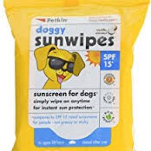 sunscreen dog